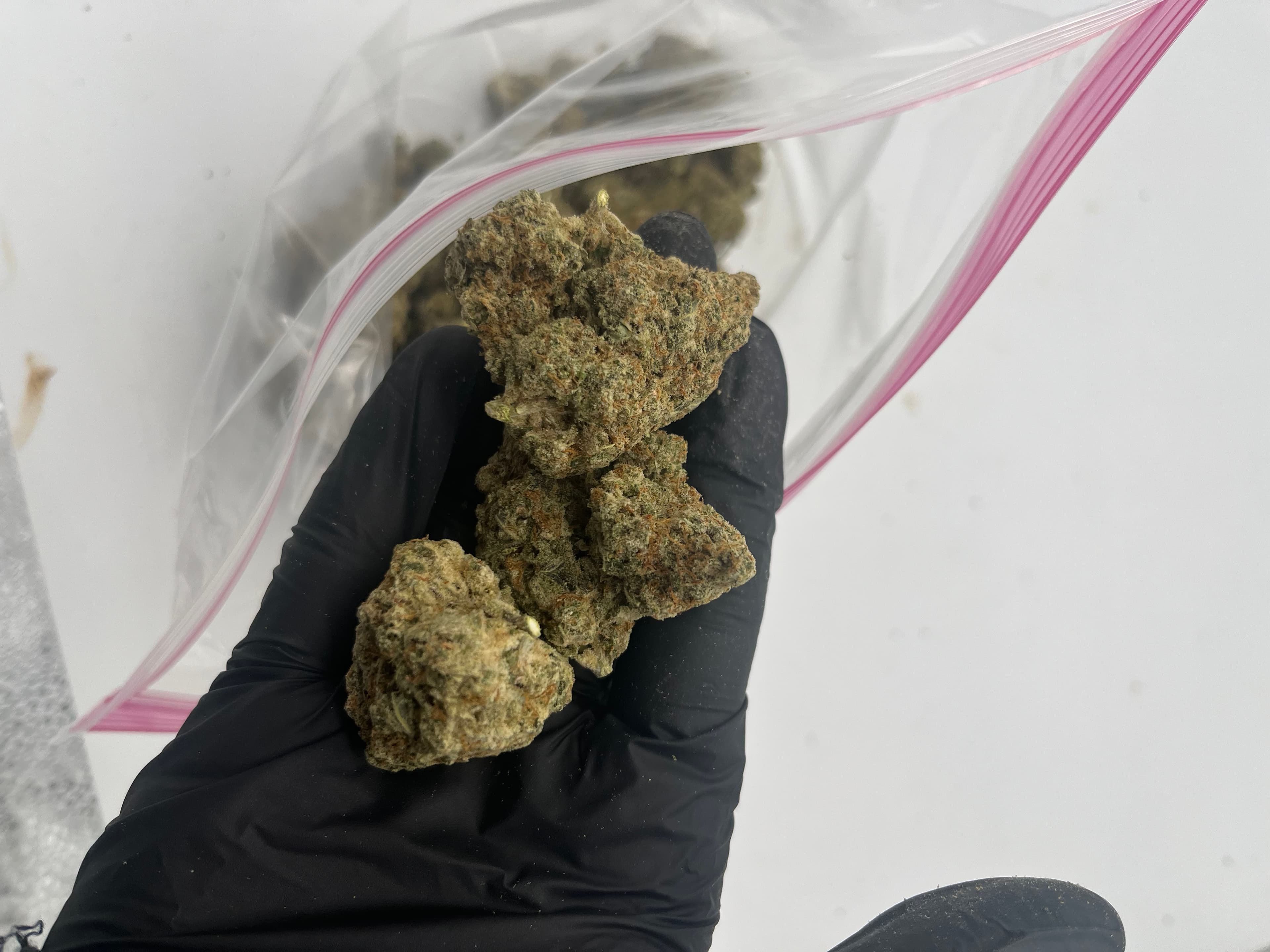 Gorilla Glue #4 — Premium THC-A hemp flower