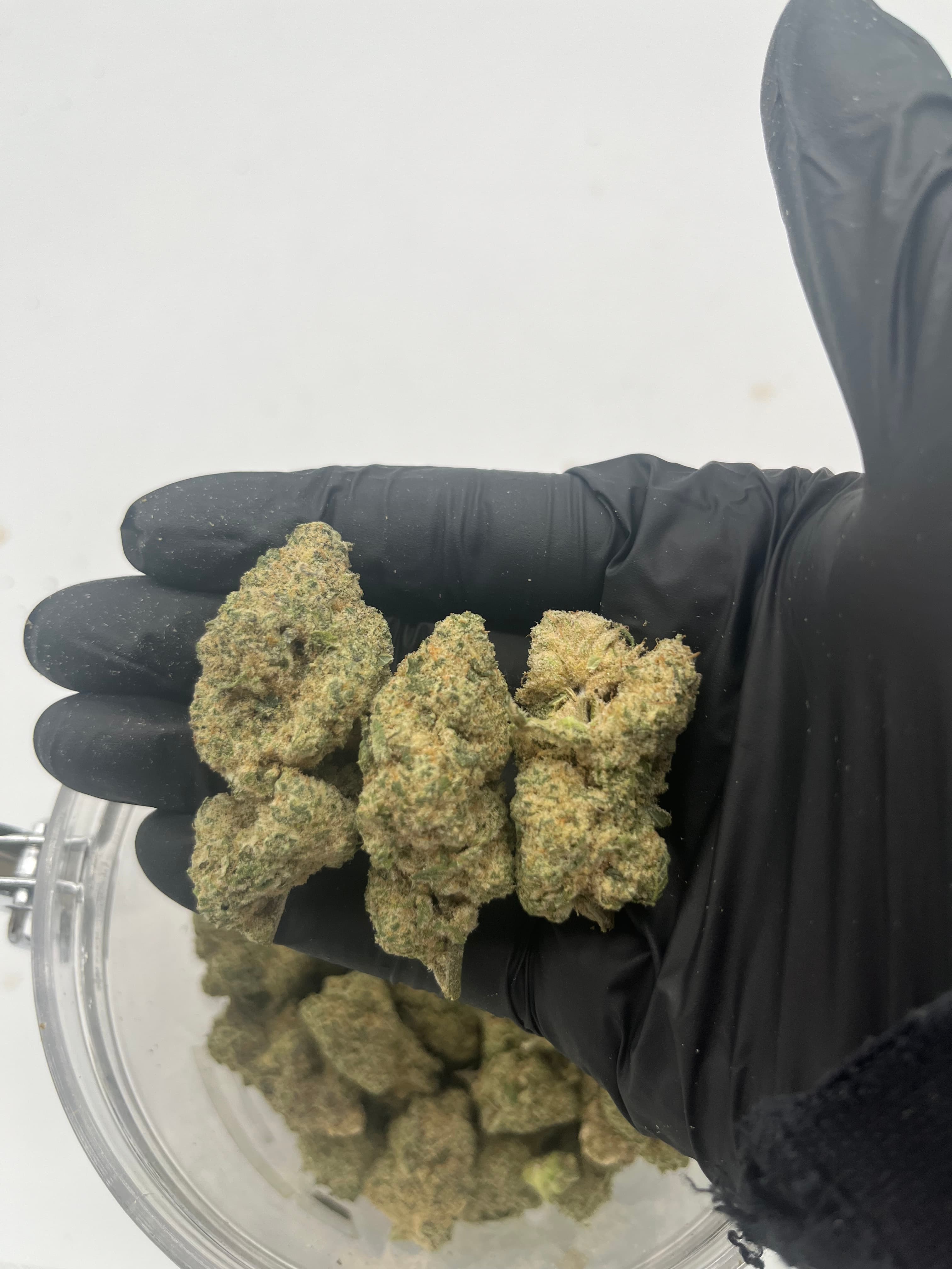 Banana Kush Cookie — Premium THC-A hemp flower
